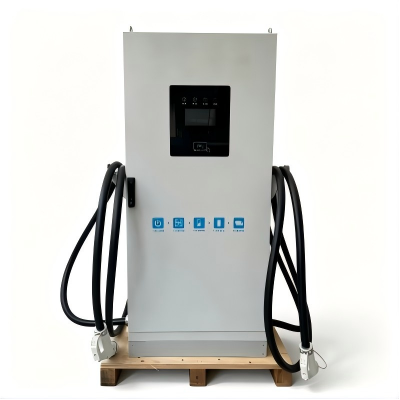 Dual Guns Electric Vehicle Charging Station